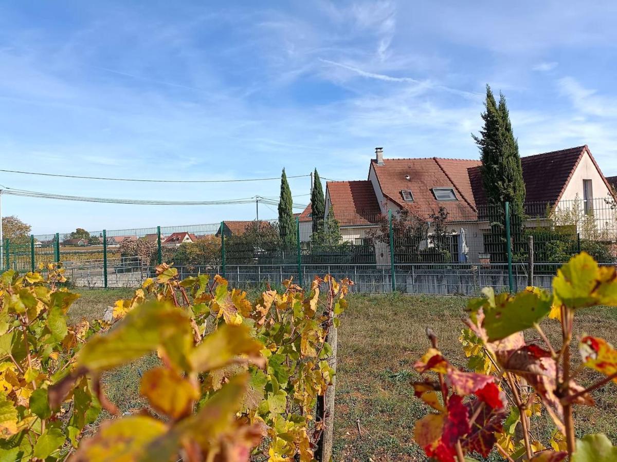 Villa Des Climats Bourgogne Марсанне-ла-Кот Екстер'єр фото